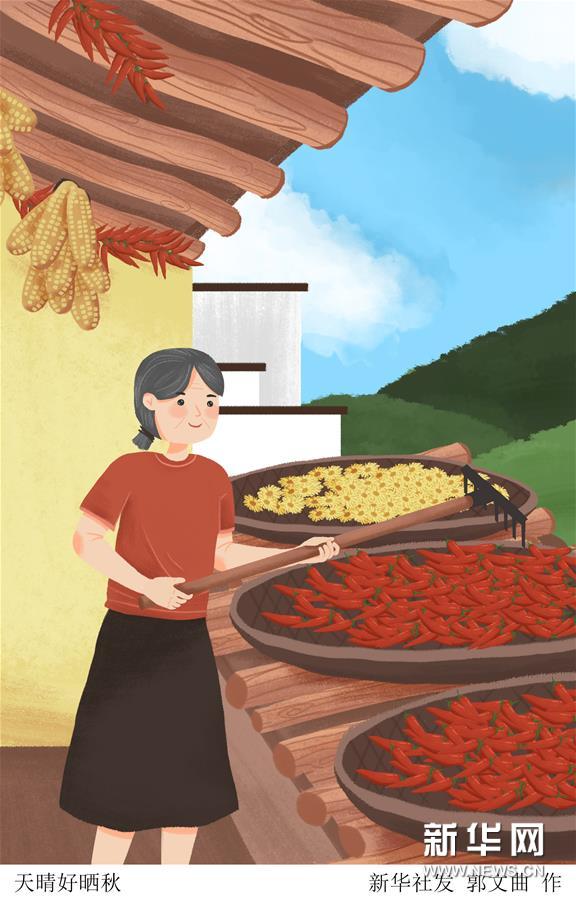 （圖表·插畫）［二十四節(jié)氣·立秋］天晴好曬秋